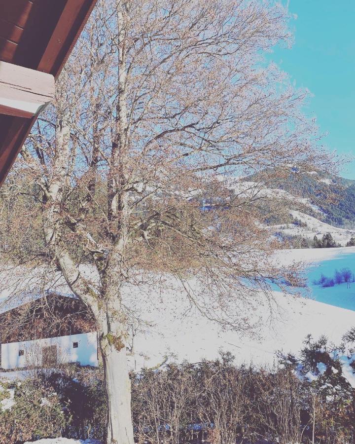 Hof Oberhaus Villa Kitzbühel Kültér fotó